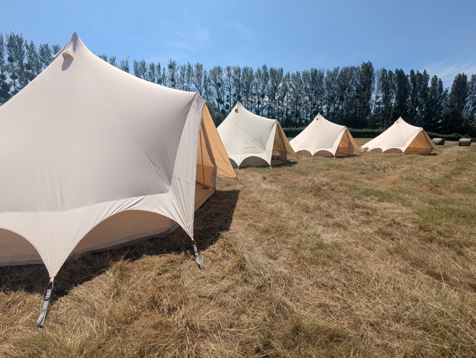Row of Camp Chic bell tents in a field for Georgia's Bridgwater wedding guest accommodation