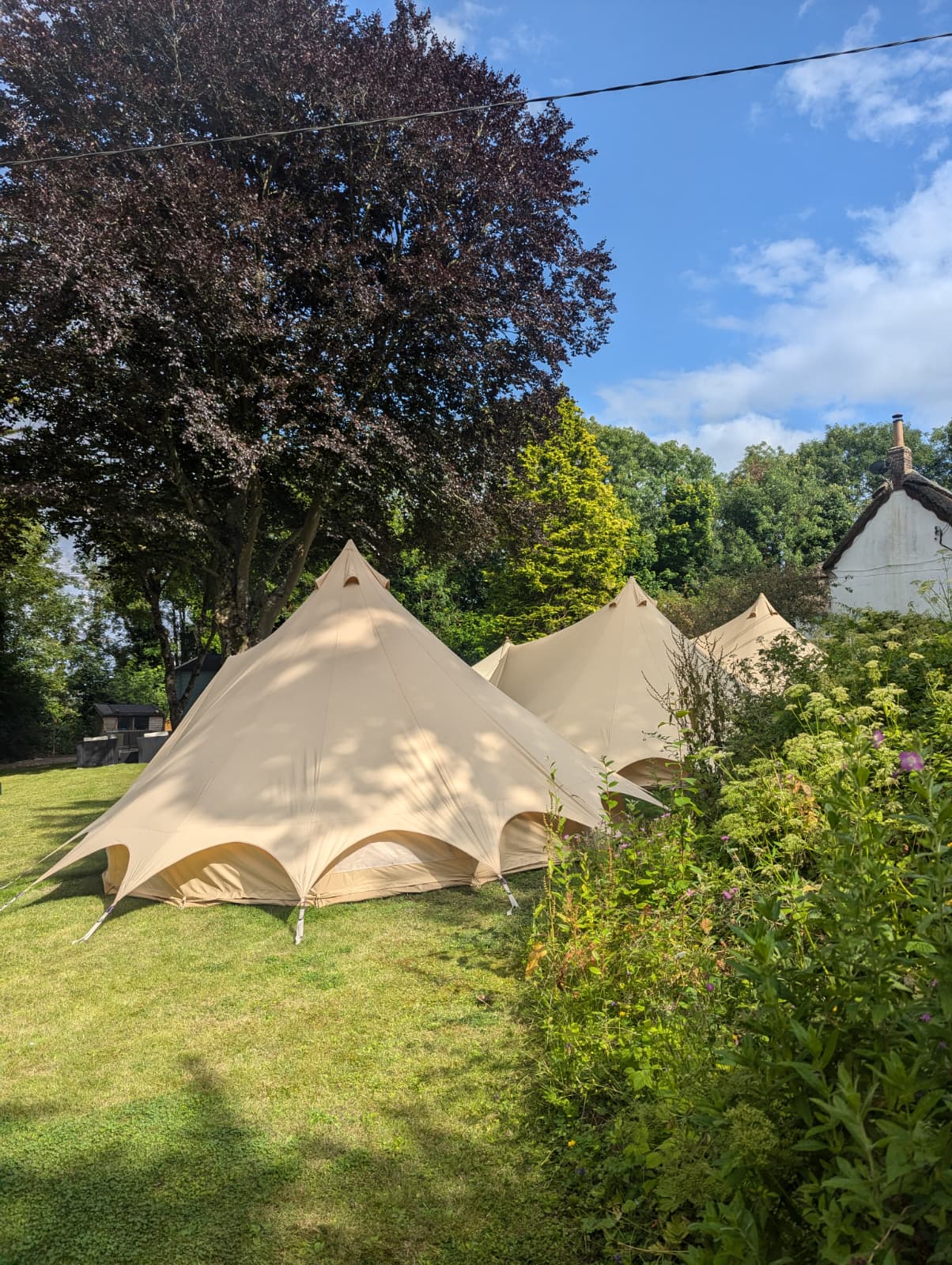 Bell tents beside trees and a cottage garden for a private-land wedding in Sherrington Wiltshire